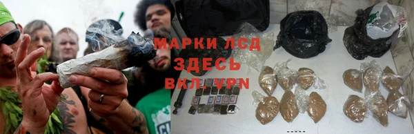 прущий лед Ладушкин