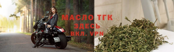 герыч Долгопрудный